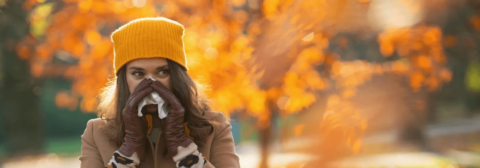 Guide To Fall Allergy Season | Service Experts